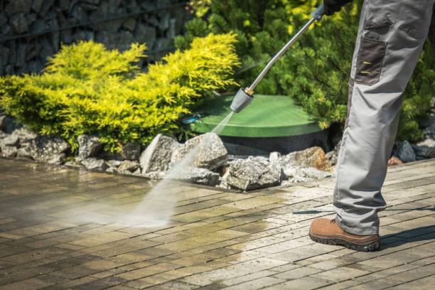 Best Solar Panel Cleaning  in Falling Water, TN